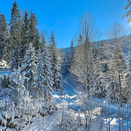 Haus Widmann Daire Scheffau am Wilden Kaiser Dış mekan fotoğraf