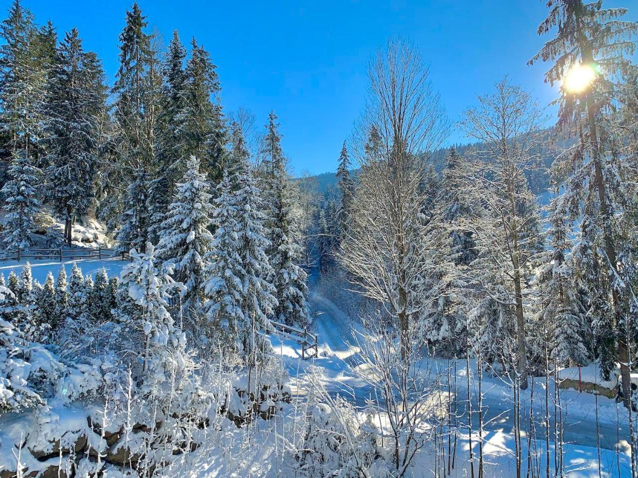 Haus Widmann Daire Scheffau am Wilden Kaiser Dış mekan fotoğraf