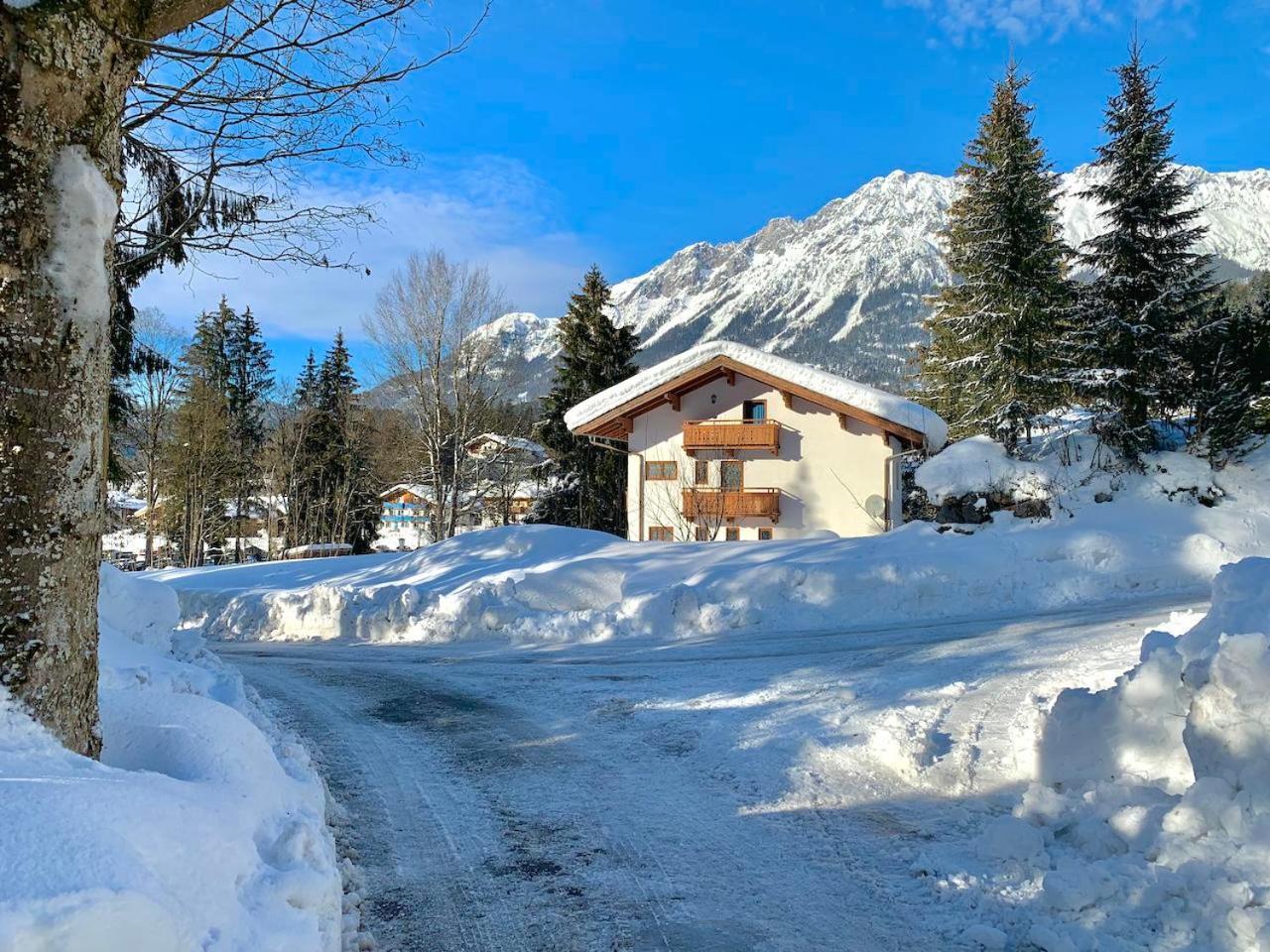 Haus Widmann Daire Scheffau am Wilden Kaiser Dış mekan fotoğraf